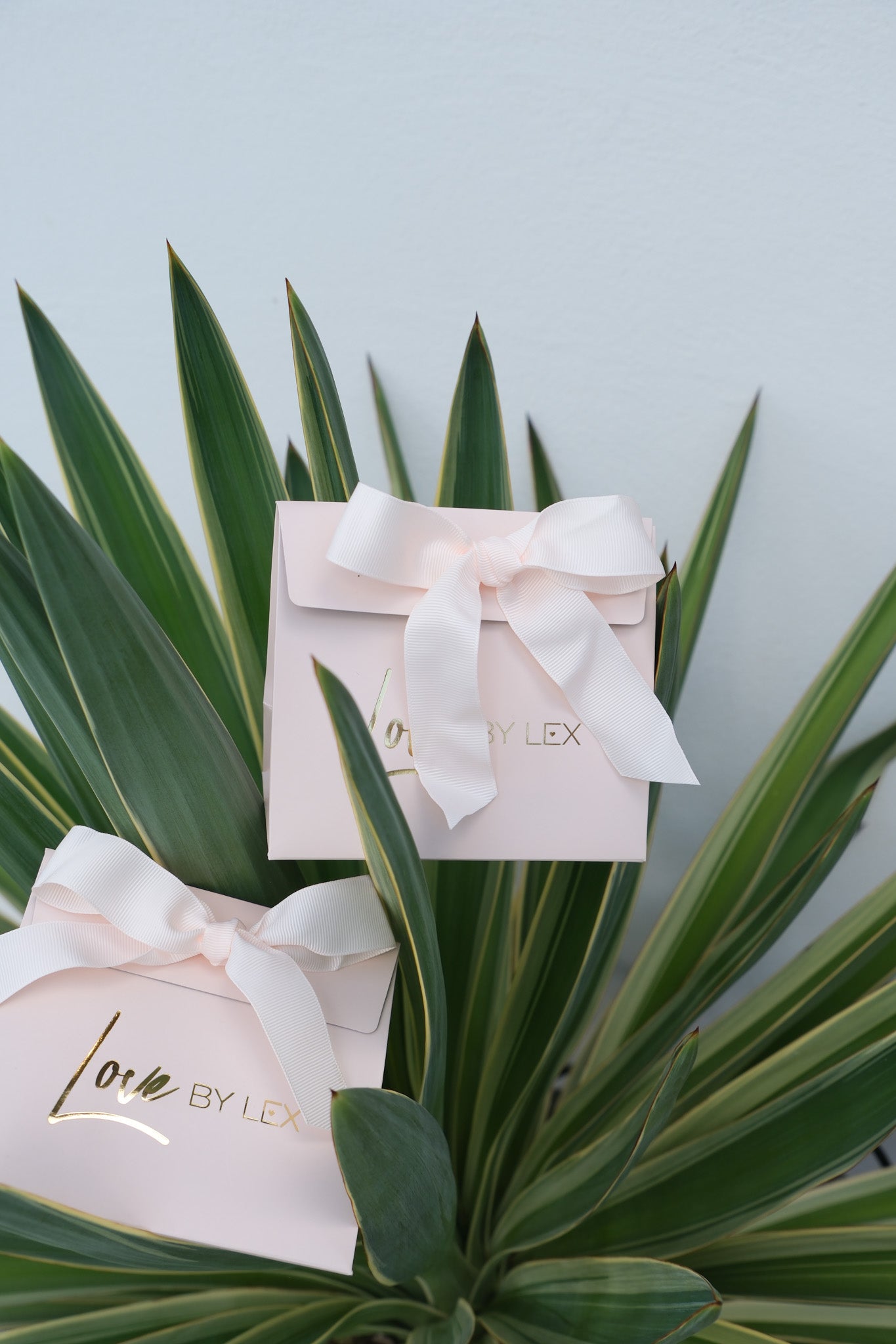 Gift Wrap